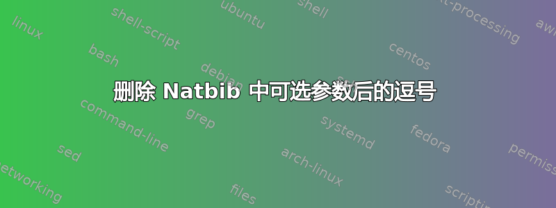 删除 Natbib 中可选参数后的逗号