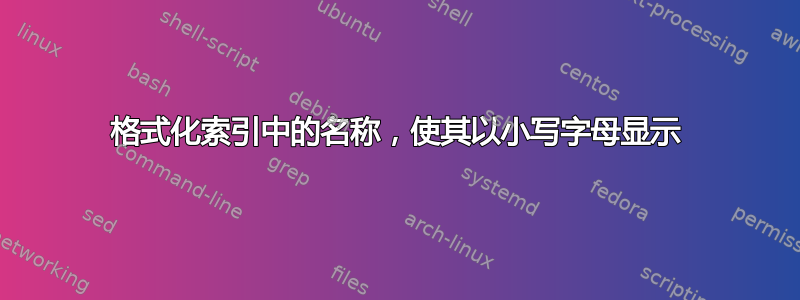 格式化索引中的名称，使其以小写字母显示