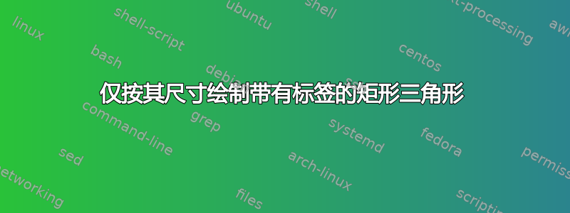 仅按其尺寸绘制带有标签的矩形三角形