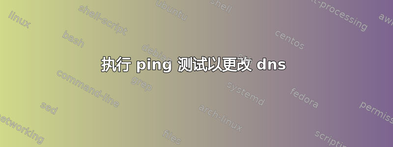 执行 ping 测试以更改 dns