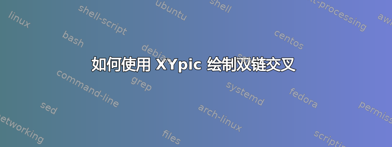 如何使用 XYpic 绘制双链交叉