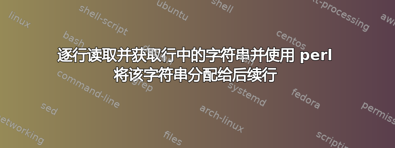 逐行读取并获取行中的字符串并使用 perl 将该字符串分配给后续行