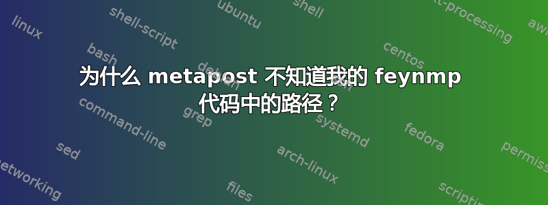 为什么 metapost 不知道我的 feynmp 代码中的路径？