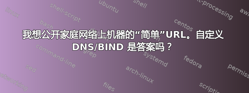 我想公开家庭网络上机器的“简单”URL。自定义 DNS/BIND 是答案吗？