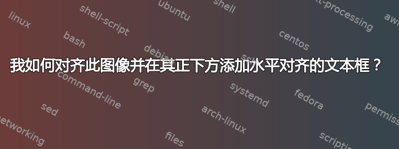 我如何对齐此图像并在其正下方添加水平对齐的文本框？