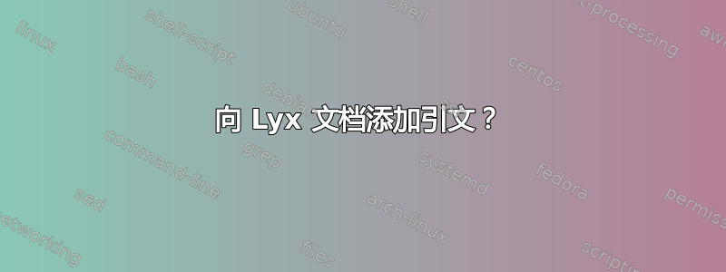 向 Lyx 文档添加引文？