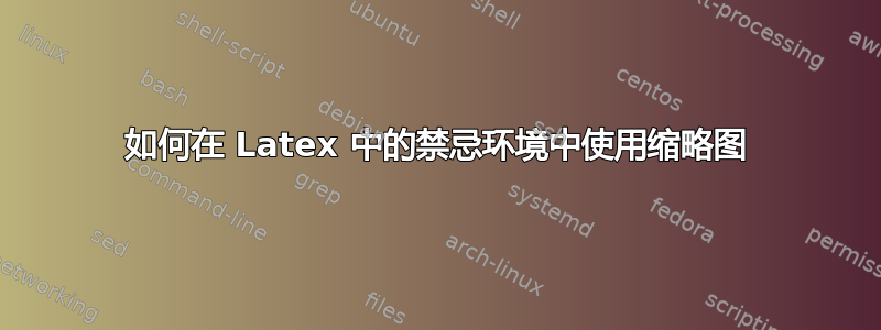 如何在 Latex 中的禁忌环境中使用缩略图