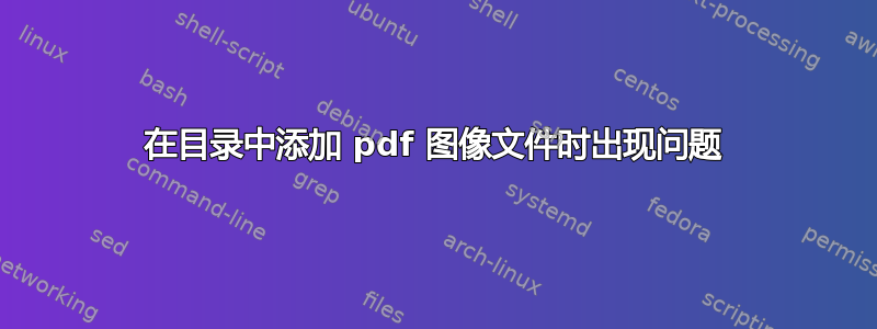 在目录中添加 pdf 图像文件时出现问题