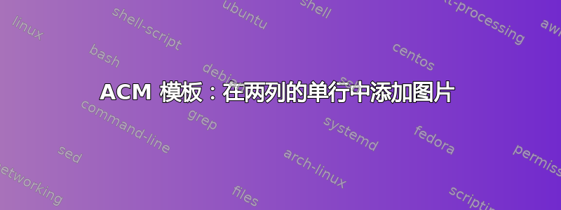 ACM 模板：在两列的单行中添加图片