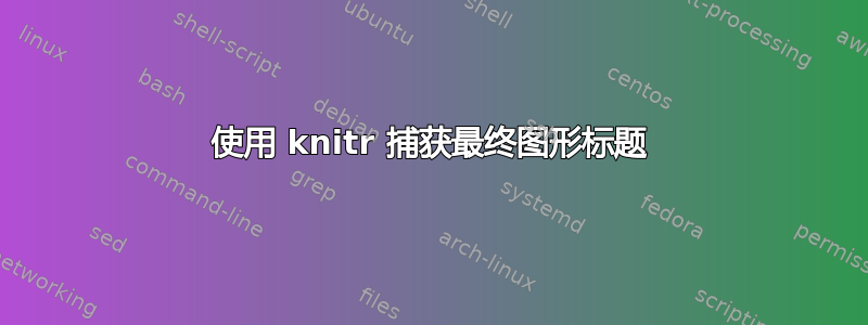 使用 knitr 捕获最终图形标题