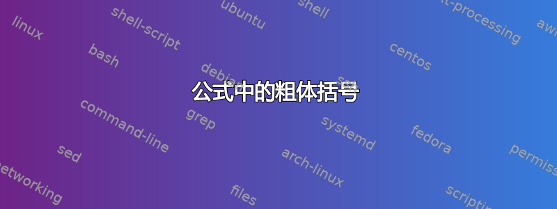 公式中的粗体括号