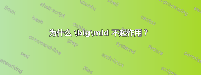 为什么 \big\mid 不起作用？