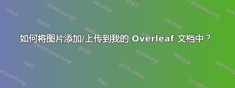 如何将图片添加/上传到我的 Overleaf 文档中？