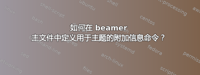 如何在 beamer 主文件中定义用于主题的附加信息命令？