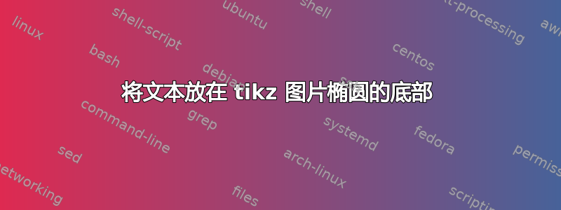 将文本放在 tikz 图片椭圆的底部