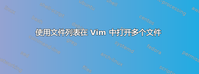 使用文件列表在 Vim 中打开多个文件