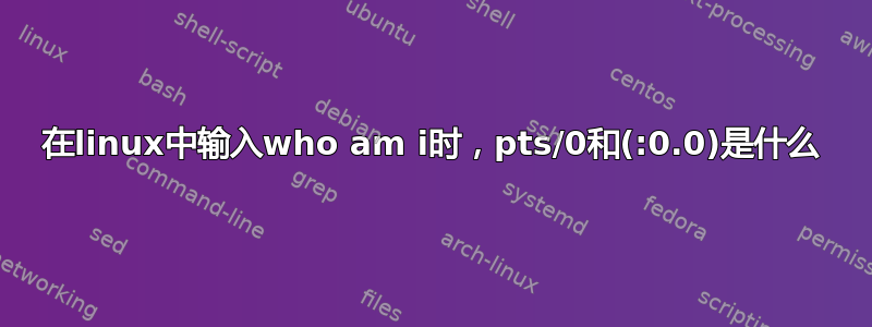 在linux中输入who am i时，pts/0和(:0.0)是什么