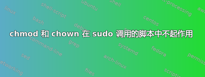 chmod 和 chown 在 sudo 调用的脚本中不起作用