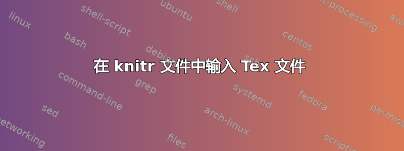 在 knitr 文件中输入 Tex 文件