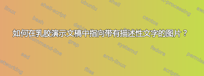 如何在乳胶演示文稿中指向带有描述性文字的图片？