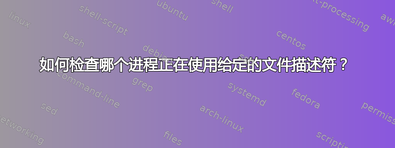 如何检查哪个进程正在使用给定的文件描述符？