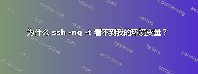 为什么 ssh -nq -t 看不到我的环境变量？