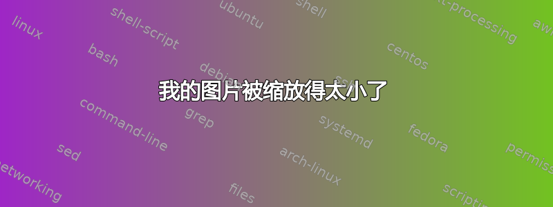 我的图片被缩放得太小了