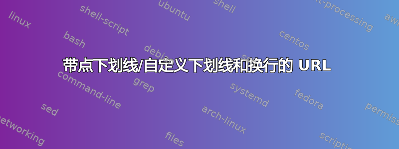 带点下划线/自定义下划线和换行的 URL