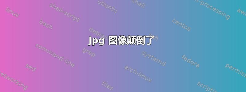 jpg 图像颠倒了