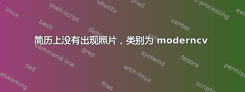 简历上没有出现照片，类别为 moderncv