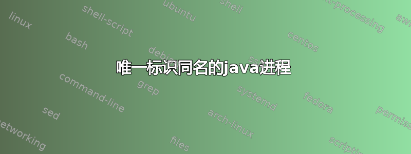 唯一标识同名的java进程