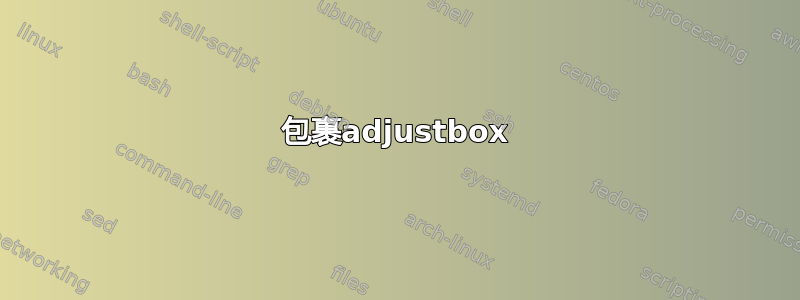 包裹adjustbox