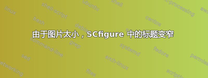 由于图片太小，SCfigure 中的标题变窄