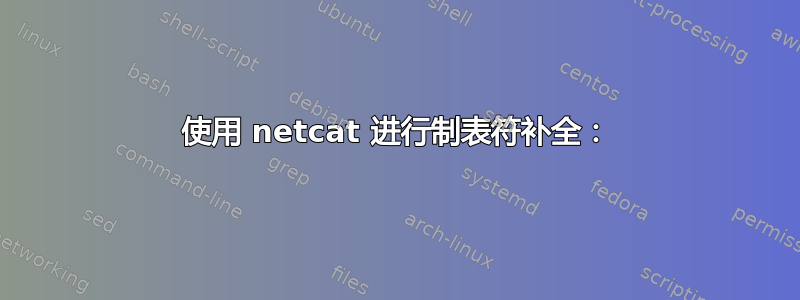 使用 netcat 进行制表符补全：