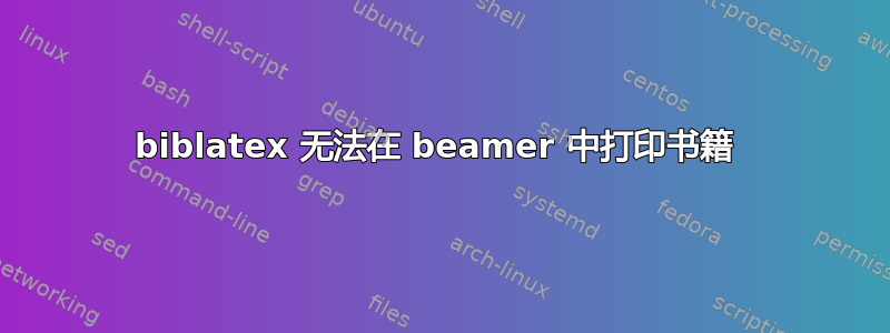 biblatex 无法在 beamer 中打印书籍 