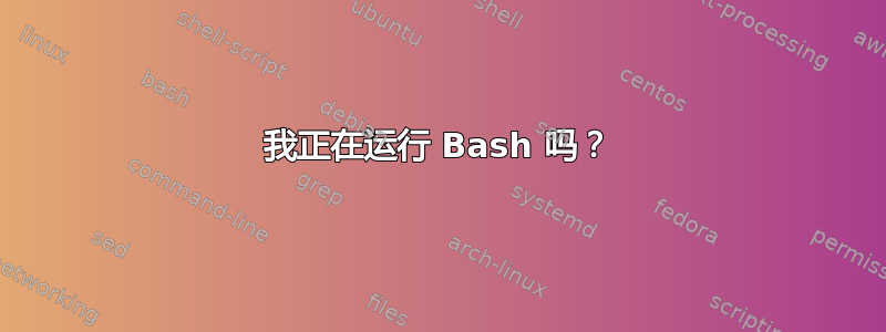 我正在运行 Bash 吗？