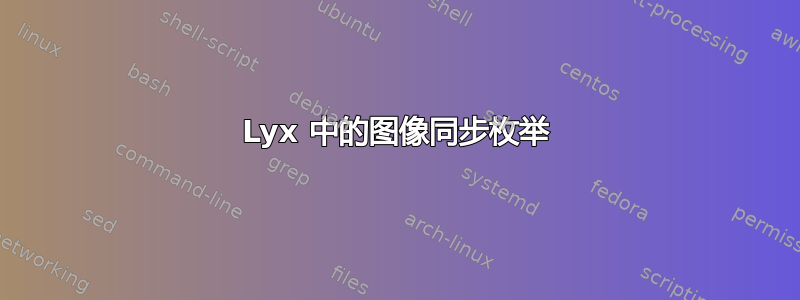 Lyx 中的图像同步枚举