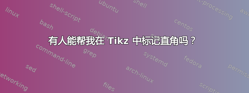 有人能帮我在 Tikz 中标记直角吗？