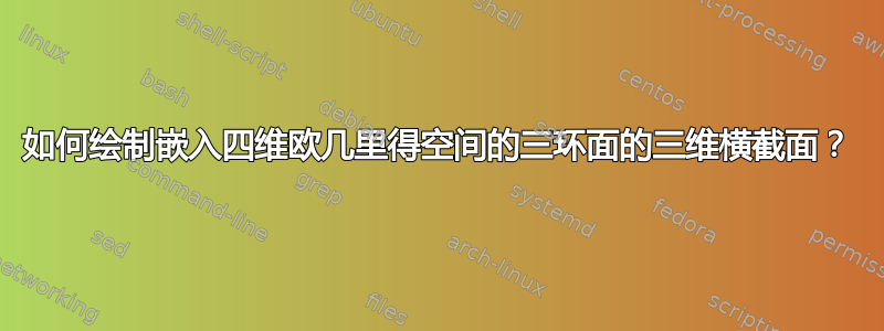 如何绘制嵌入四维欧几里得空间的三环面的三维横截面？