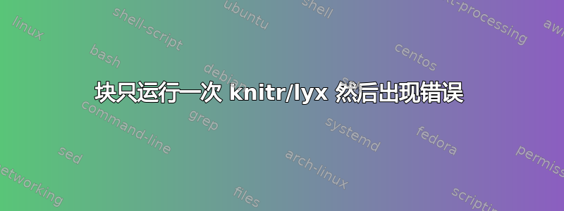 块只运行一次 knitr/lyx 然后出现错误