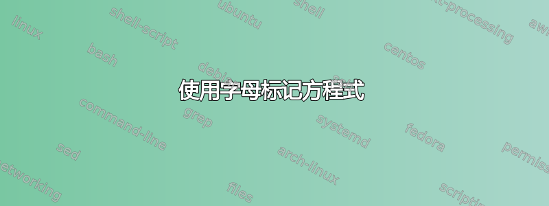 使用字母标记方程式