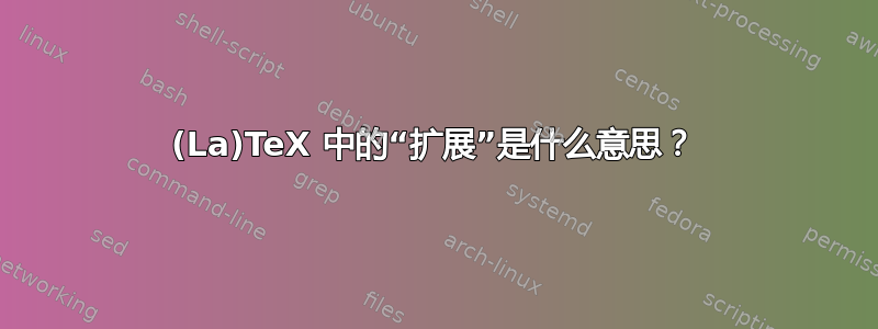 (La)TeX 中的“扩展”是什么意思？