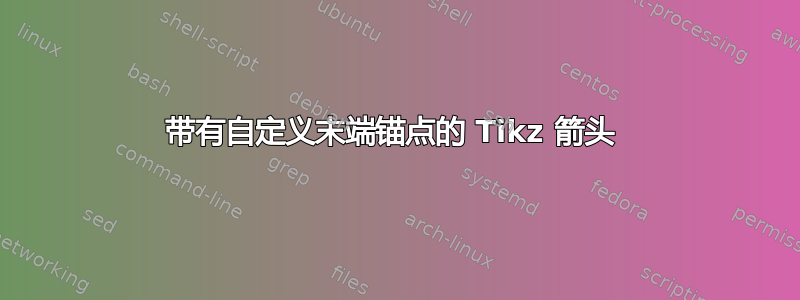 带有自定义末端锚点的 Tikz 箭头 