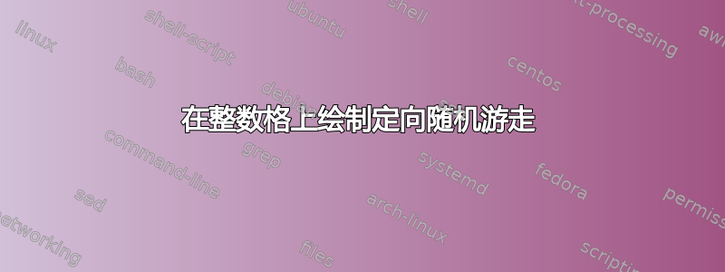 在整数格上绘制定向随机游走