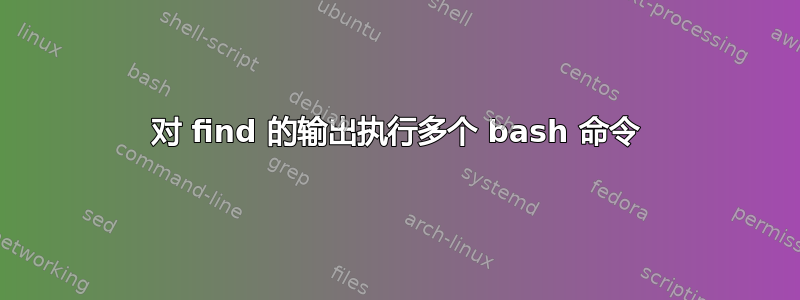 对 find 的输出执行多个 bash 命令