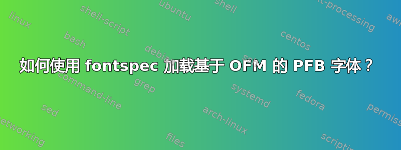 如何使用 fontspec 加载基于 OFM 的 PFB 字体？