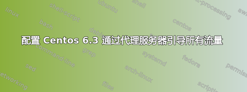 配置 Centos 6.3 通过代理服务器引导所有流量