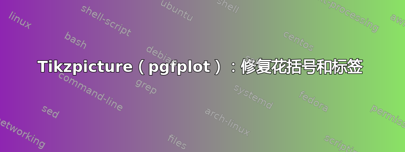 Tikzpicture（pgfplot）：修复花括号和标签