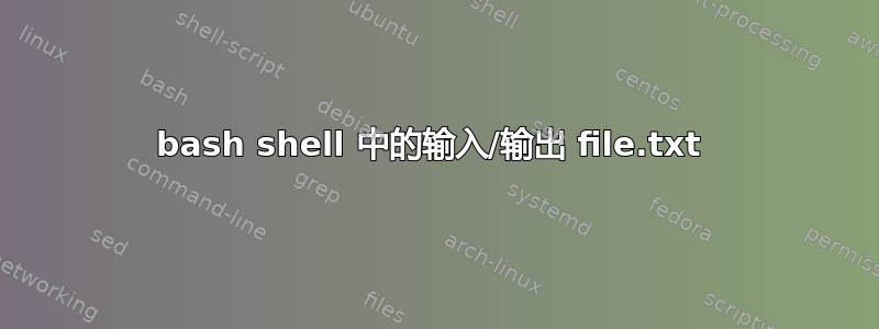 bash shell 中的输入/输出 file.txt 