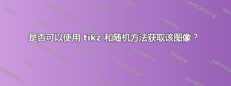 是否可以使用 tikz 和随机方法获取该图像？